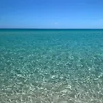 Sardama
