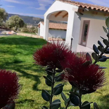 Bed & Breakfast Sardama