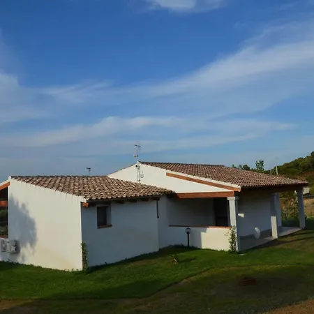 Sardama Torpe