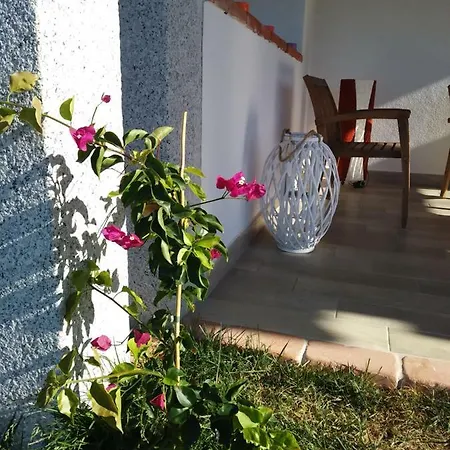 Sardama