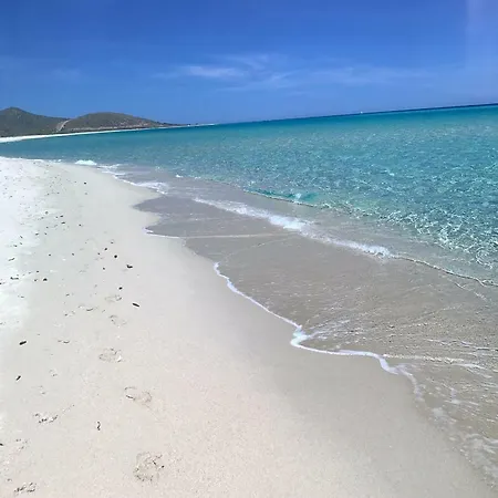 Sardama