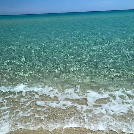 Sardama * Torpe