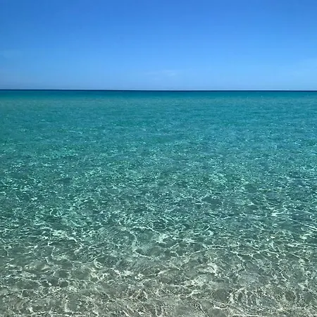 Sardama
