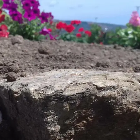 Alojamento de Acomodação e Pequeno-almoço Sardama
