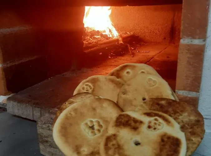 Bed & Breakfast Sardama Torpe