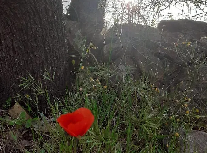 Sardama Bed & Breakfast Torpe