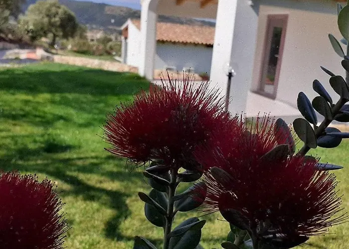 Bed & Breakfast Sardama