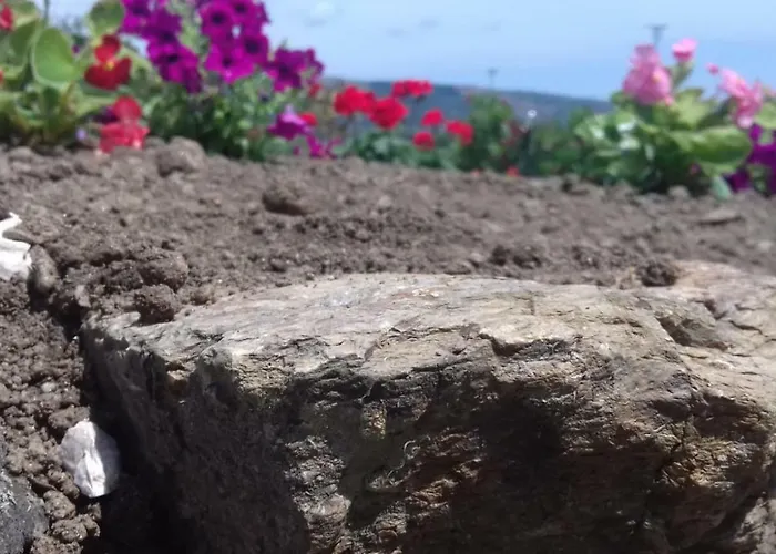 Bed & Breakfast Sardama