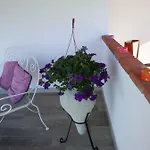 Sardama 3*