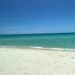 Sardama 3*
