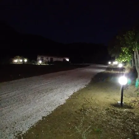 Oda ve Kahvaltı Sardama