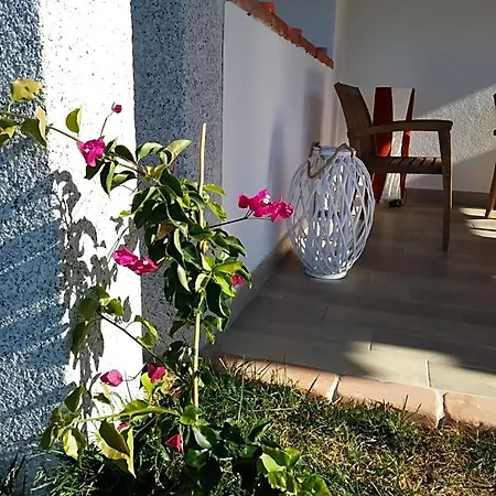 Sardama Alojamento de Acomodação e Pequeno-almoço 3*