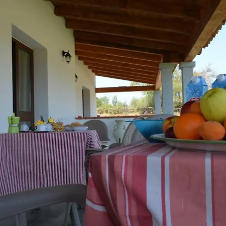 Bed and breakfast Sardama